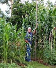 Keith-cornfield-web